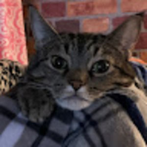 Meet your Posher, Tonya